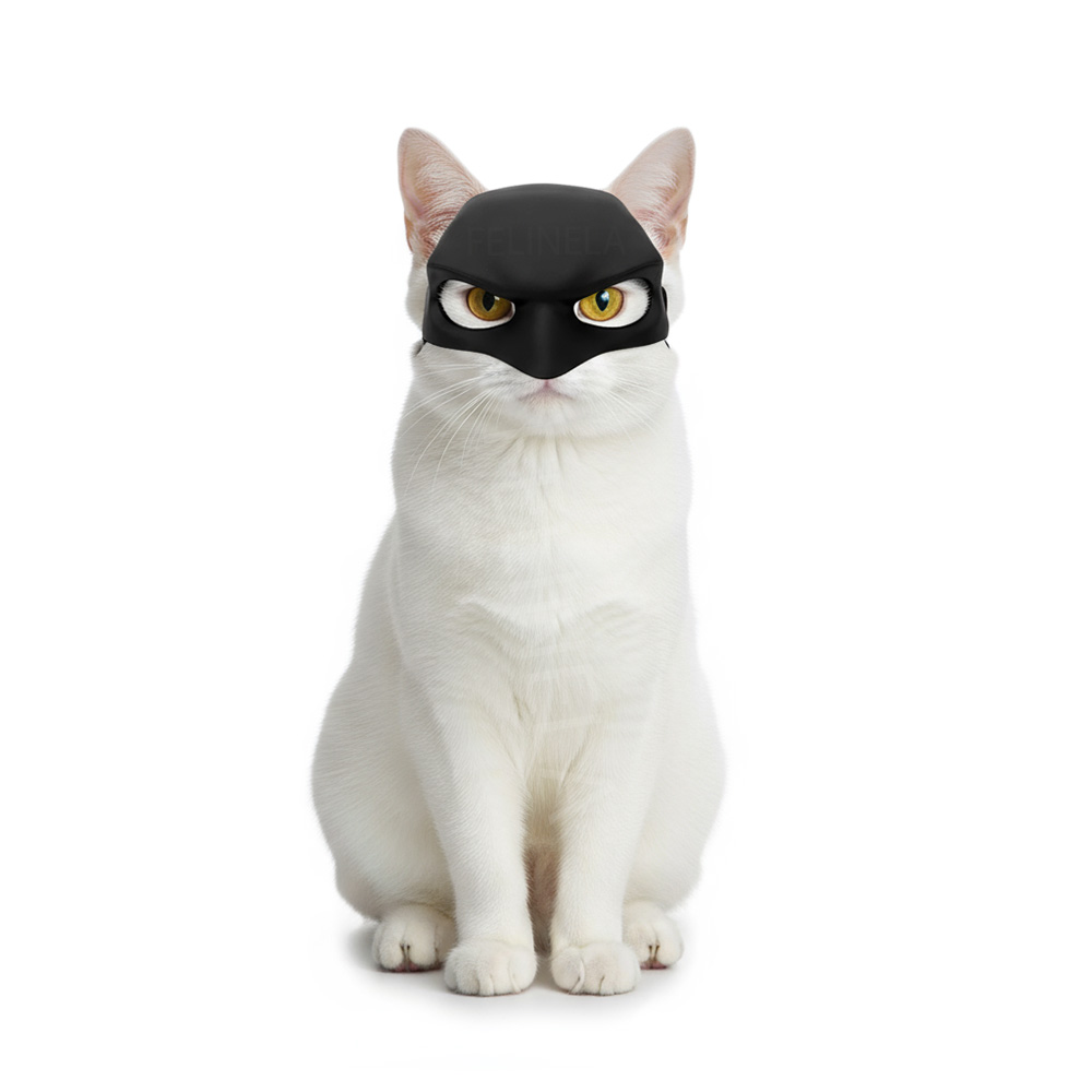 maska-kota-bohatera0