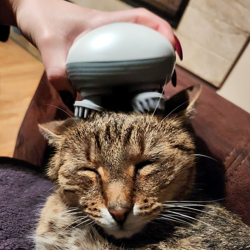 Masážny prístroj pre mačky PurrTherapy