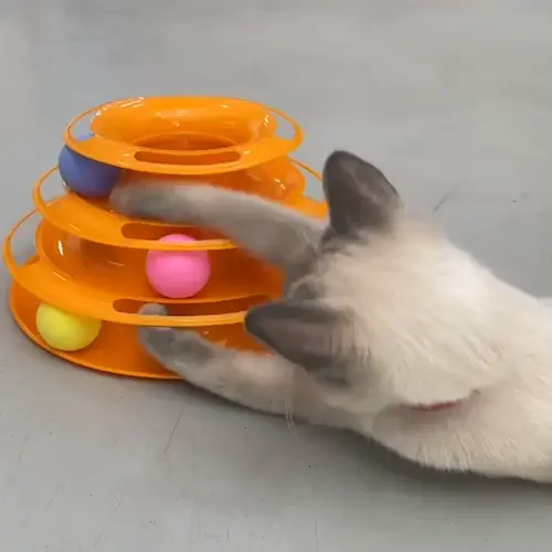 Loptičková veža pre mačky CatMotion s farebnými loptičkami